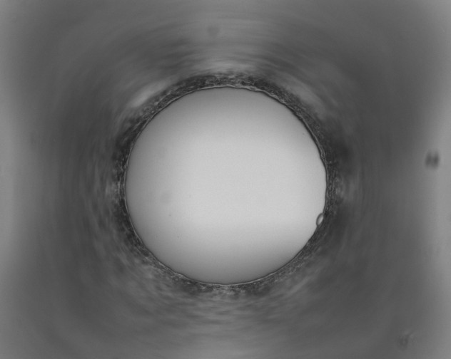 X0000092240869200709281122