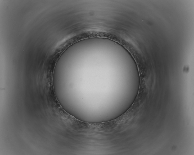 X0000092240870200709281122