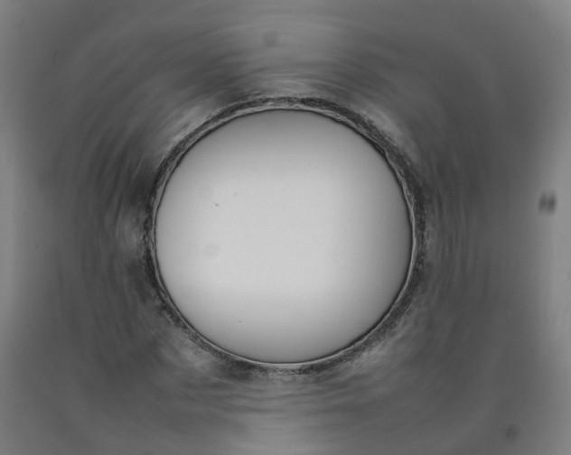 X0000092240873200709281122