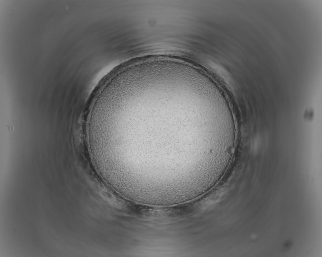 X0000092240875200709281122