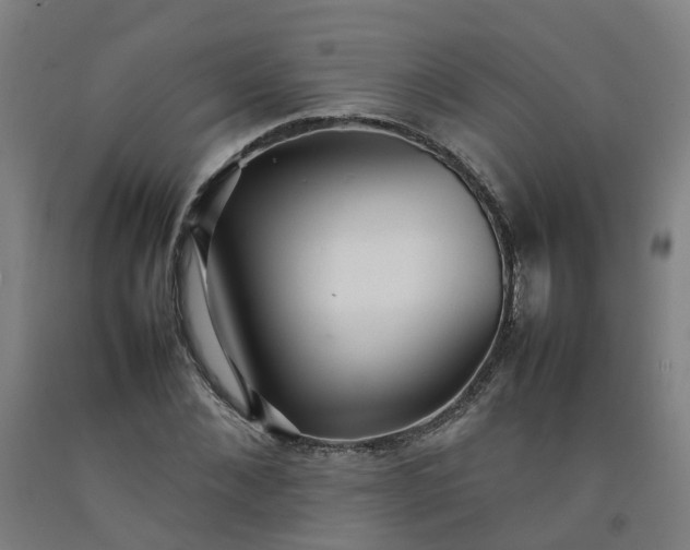 X0000092240876200709281122