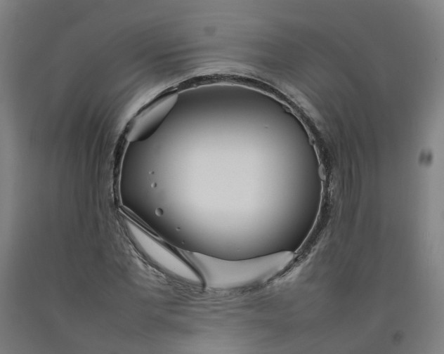 X0000092240877200709281122