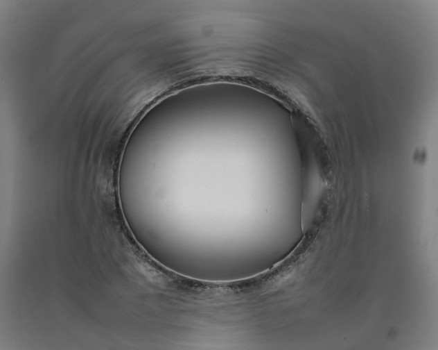 X0000092240881200709281122