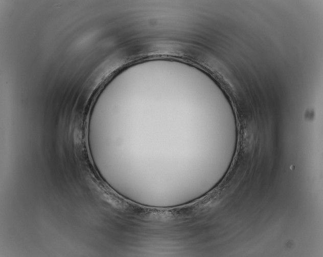 X0000092240882200709281122