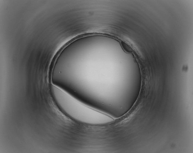 X0000092240884200709281122