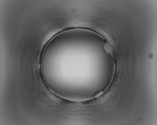 X0000092240885200709281122