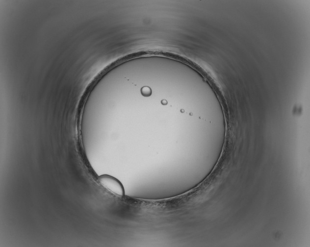 X0000092240887200709281122