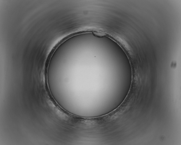 X0000092240888200709281122