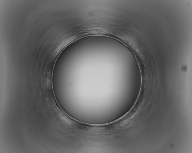 X0000092240889200709281122