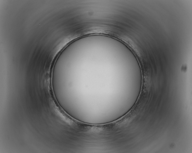 X0000092240890200709281122