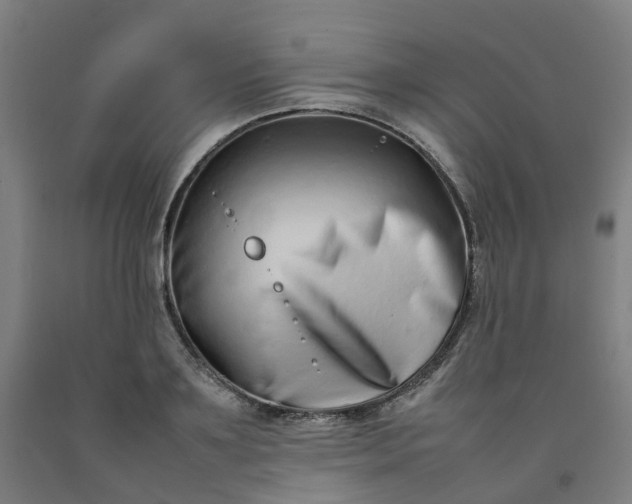 X0000092240891200709281122