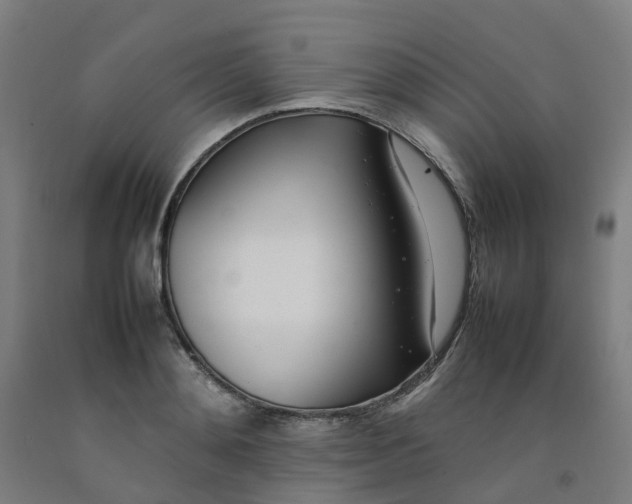 X0000092240892200709281122