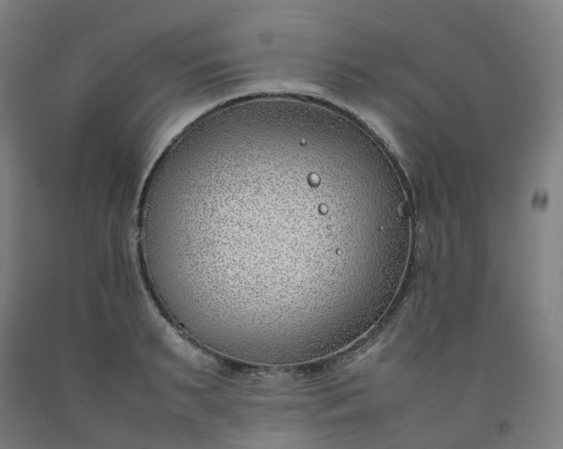 X0000092240895200709281122