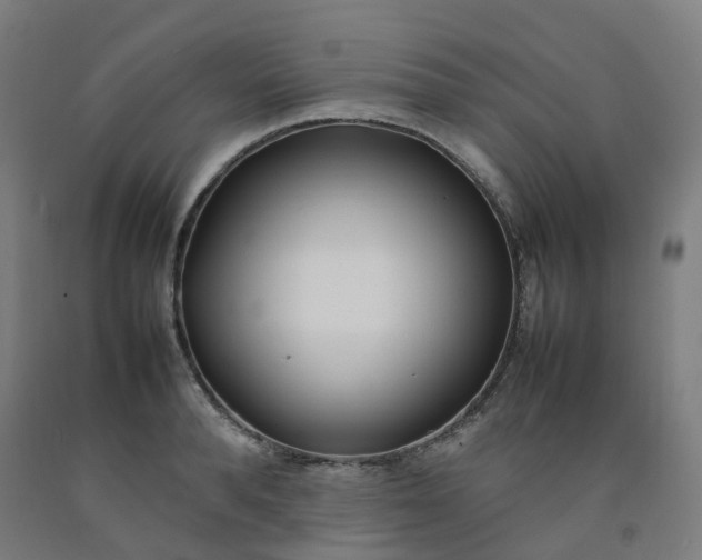 X0000092240896200709281122