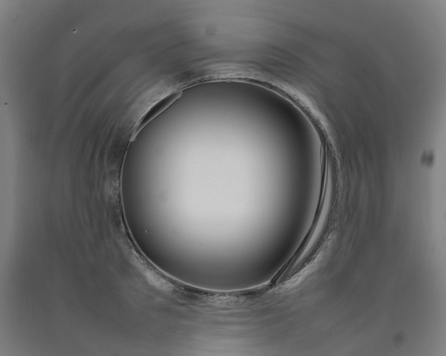 X0000092240897200709281122