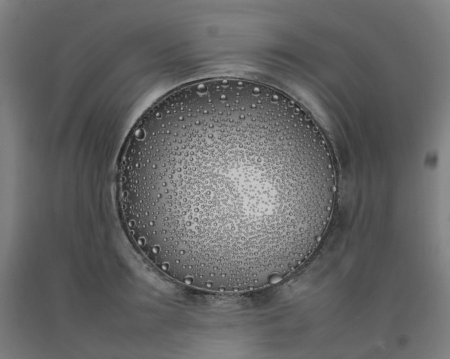 X0000092240899200709281122