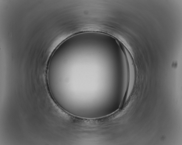 X0000092240901200709281122