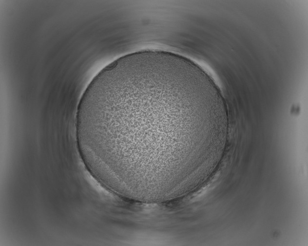 X0000092240903200709281122