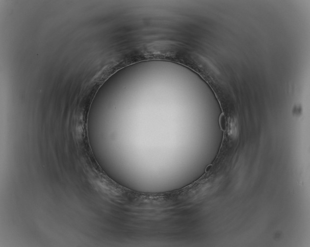 X0000092240915200709281121