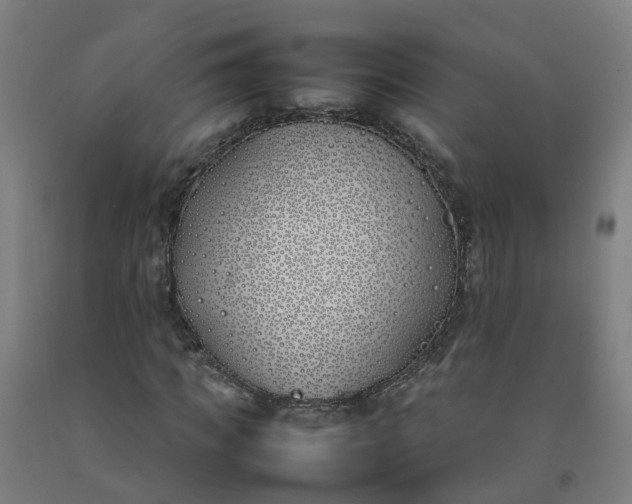 X0000092240917200709281121