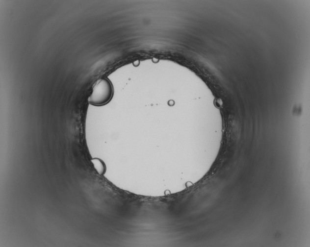 X0000092240918200709281121