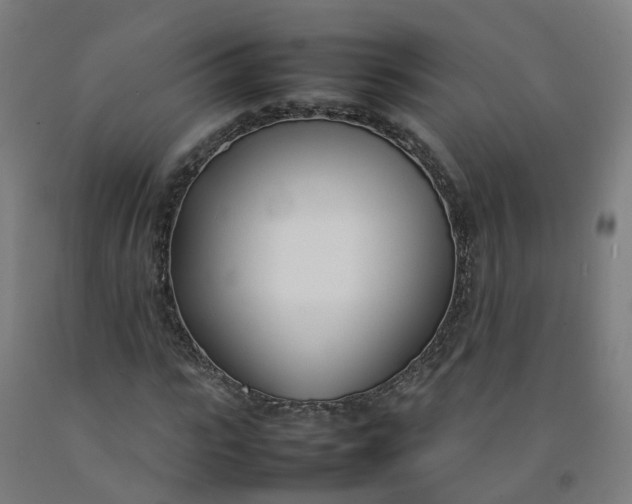 X0000092240919200709281121