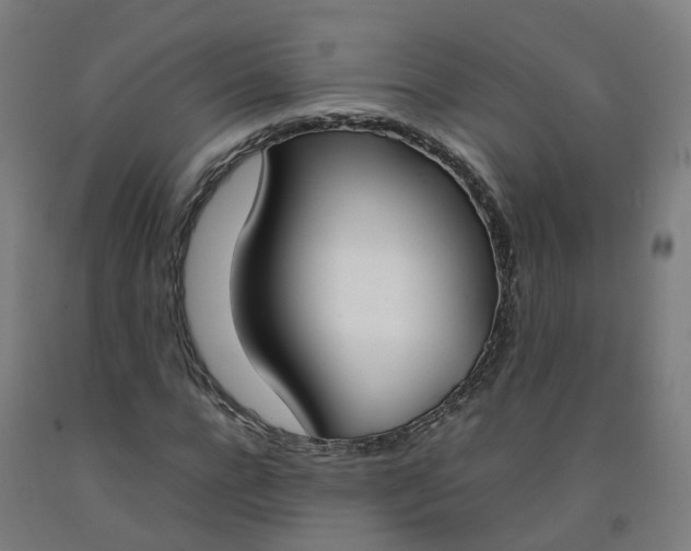 X0000092240920200709281121