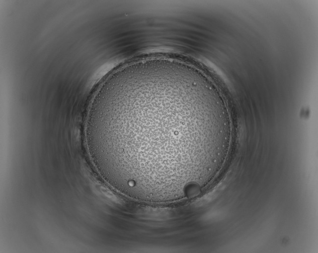 X0000092240921200709281121