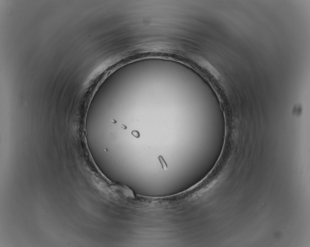 X0000092240922200709281121