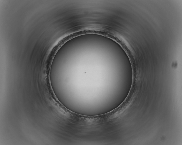 X0000092240923200709281121