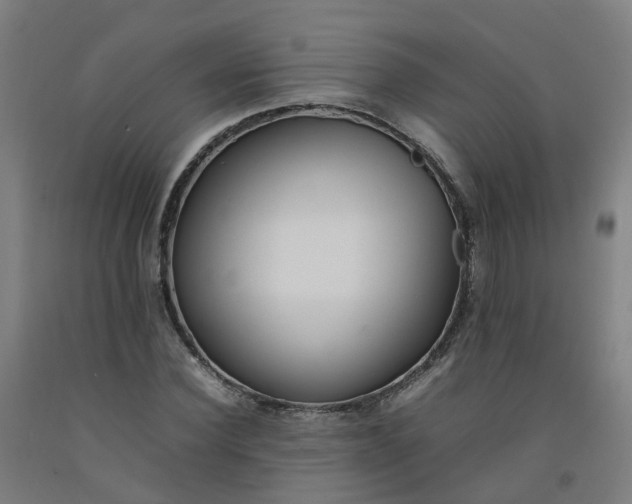 X0000092240924200709281121