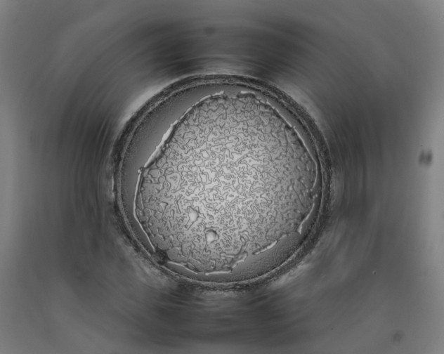 X0000092240925200709281121