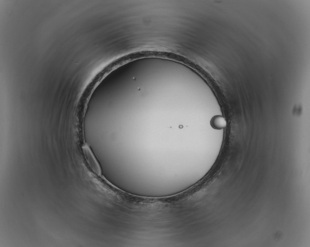 X0000092240926200709281121