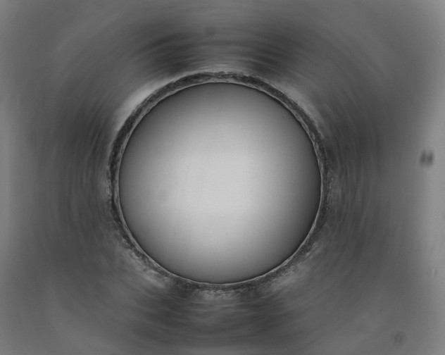 X0000092240927200709281121