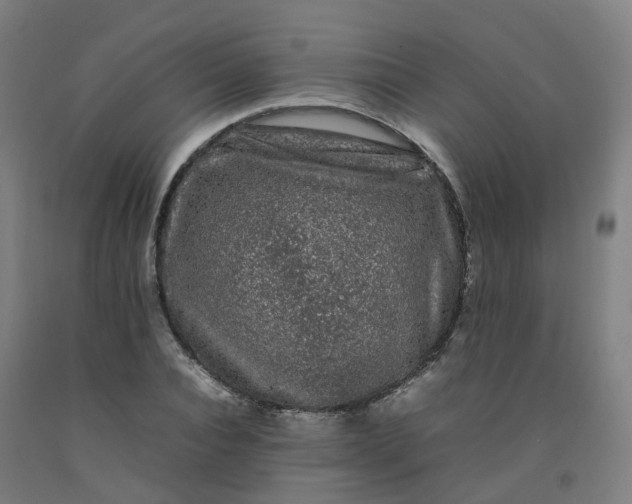 X0000092240928200709281121