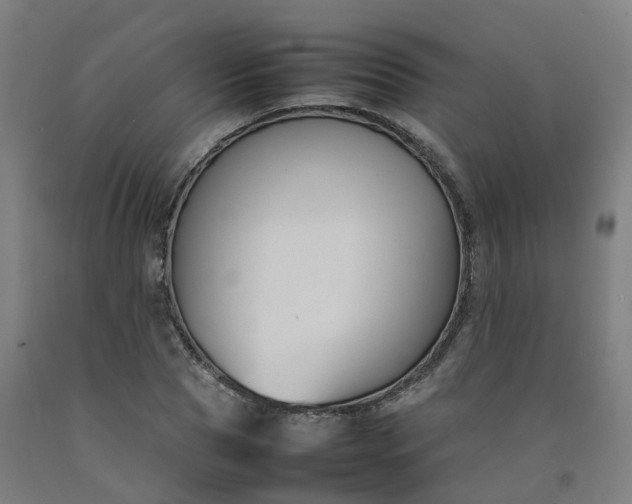 X0000092240929200709281121