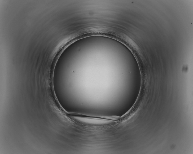 X0000092240930200709281121