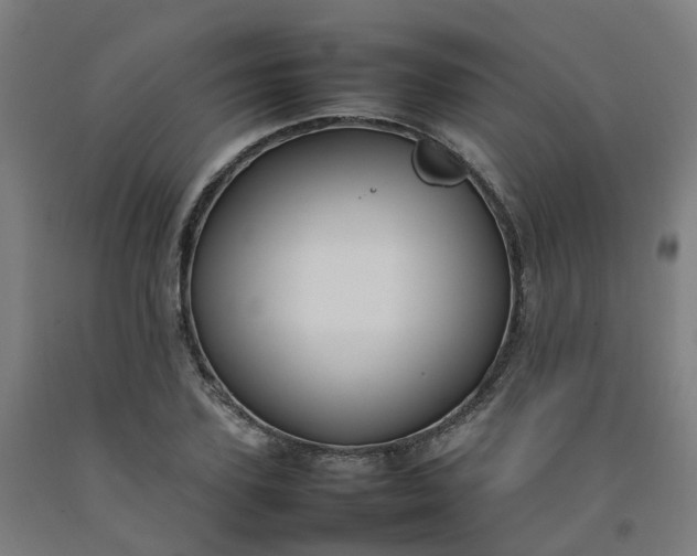 X0000092240931200709281121