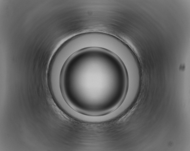 X0000092240932200709281121