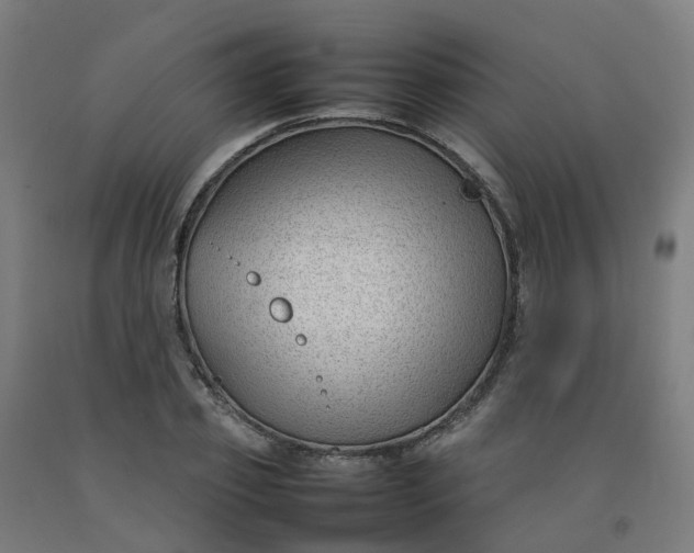 X0000092240933200709281121