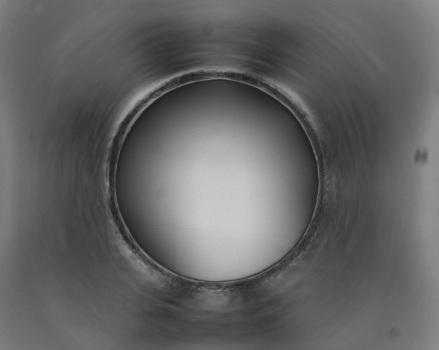 X0000092240935200709281121