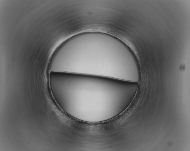 X0000092240936200709281121