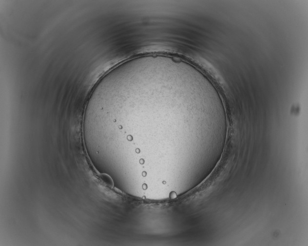 X0000092240937200709281121