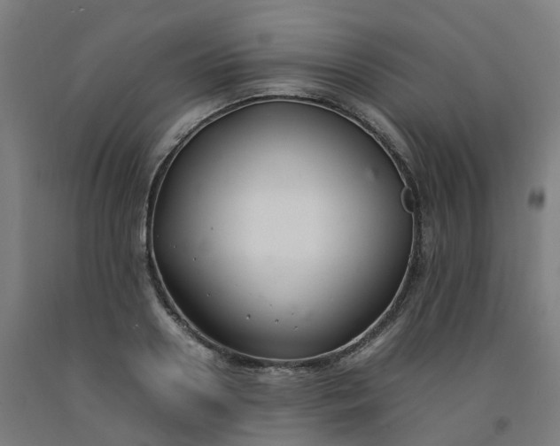 X0000092240938200709281121