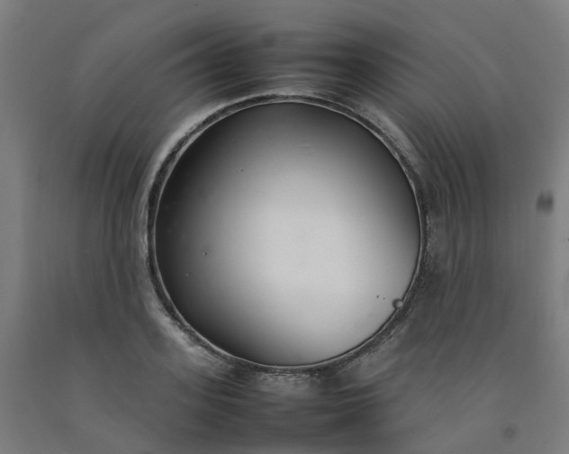 X0000092240939200709281121