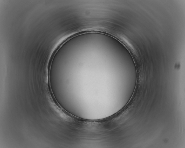 X0000092240940200709281121