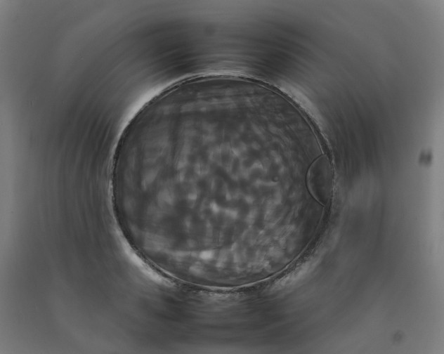 X0000092240941200709281121