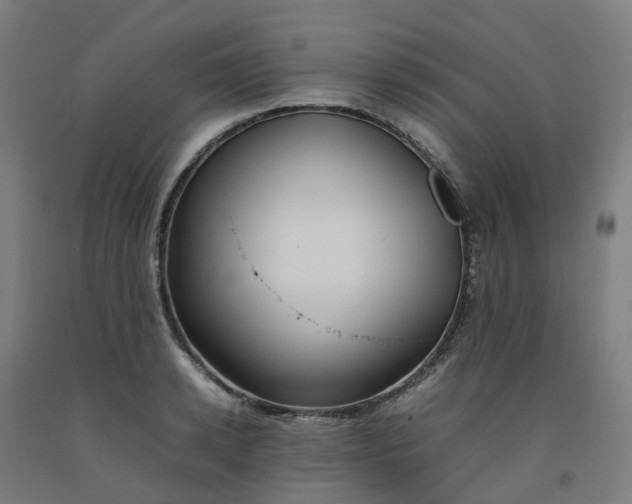 X0000092240942200709281121