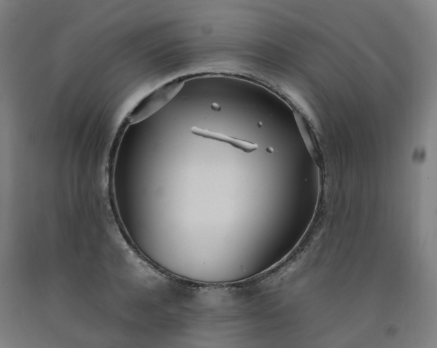 X0000092240944200709281121