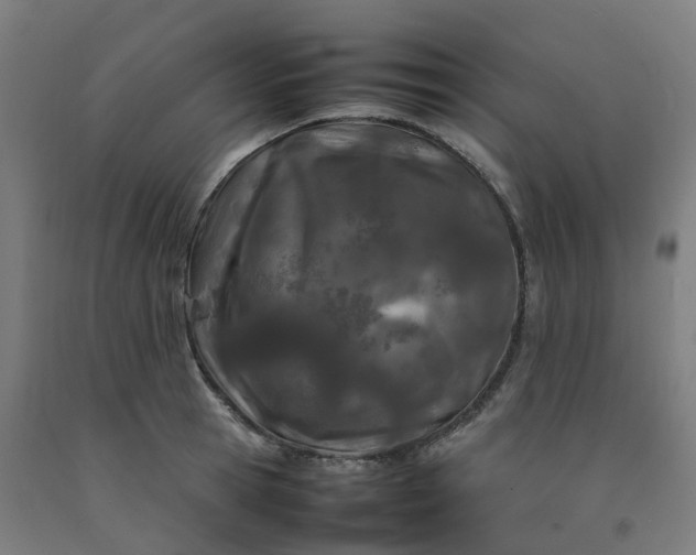 X0000092240945200709281121